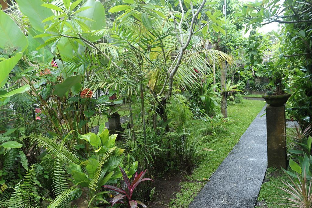 Karang Mesari Ubud Guest House Exterior foto