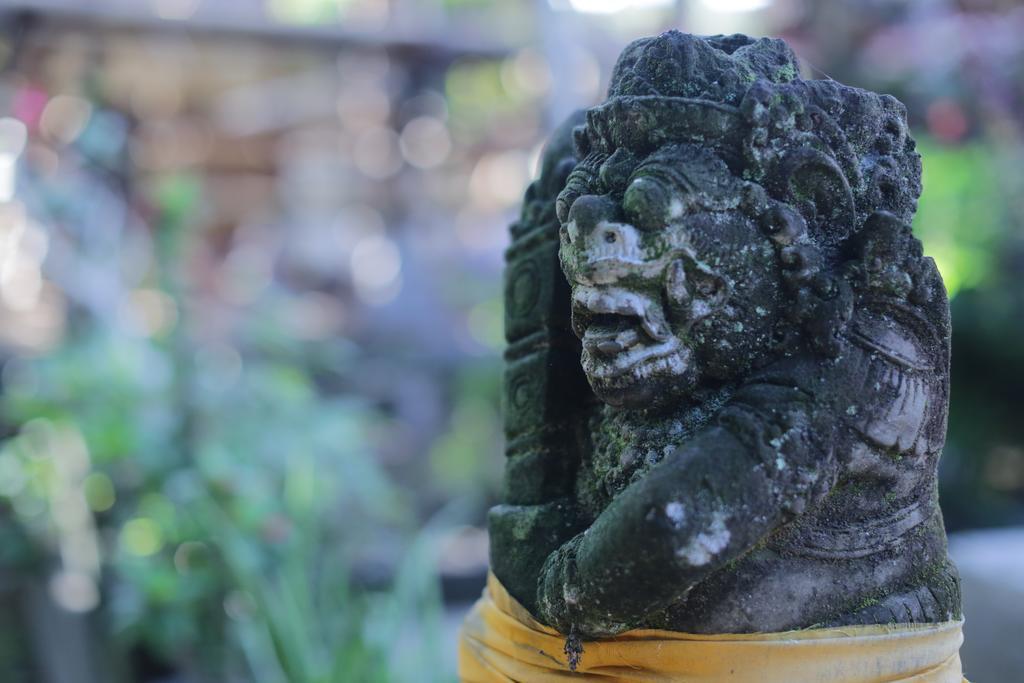Karang Mesari Ubud Guest House Exterior foto