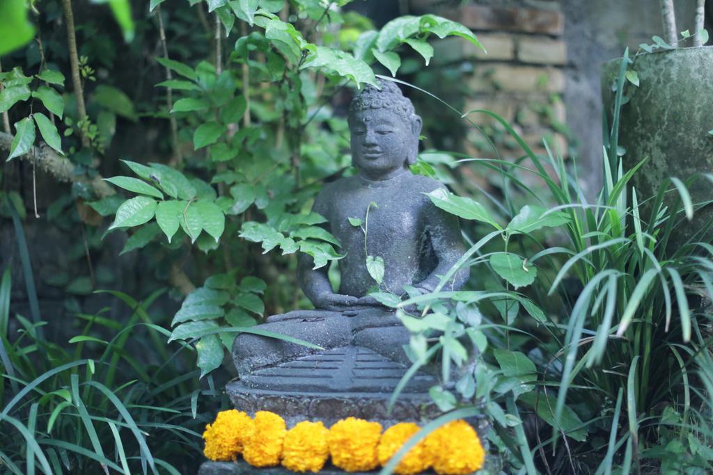 Karang Mesari Ubud Guest House Exterior foto
