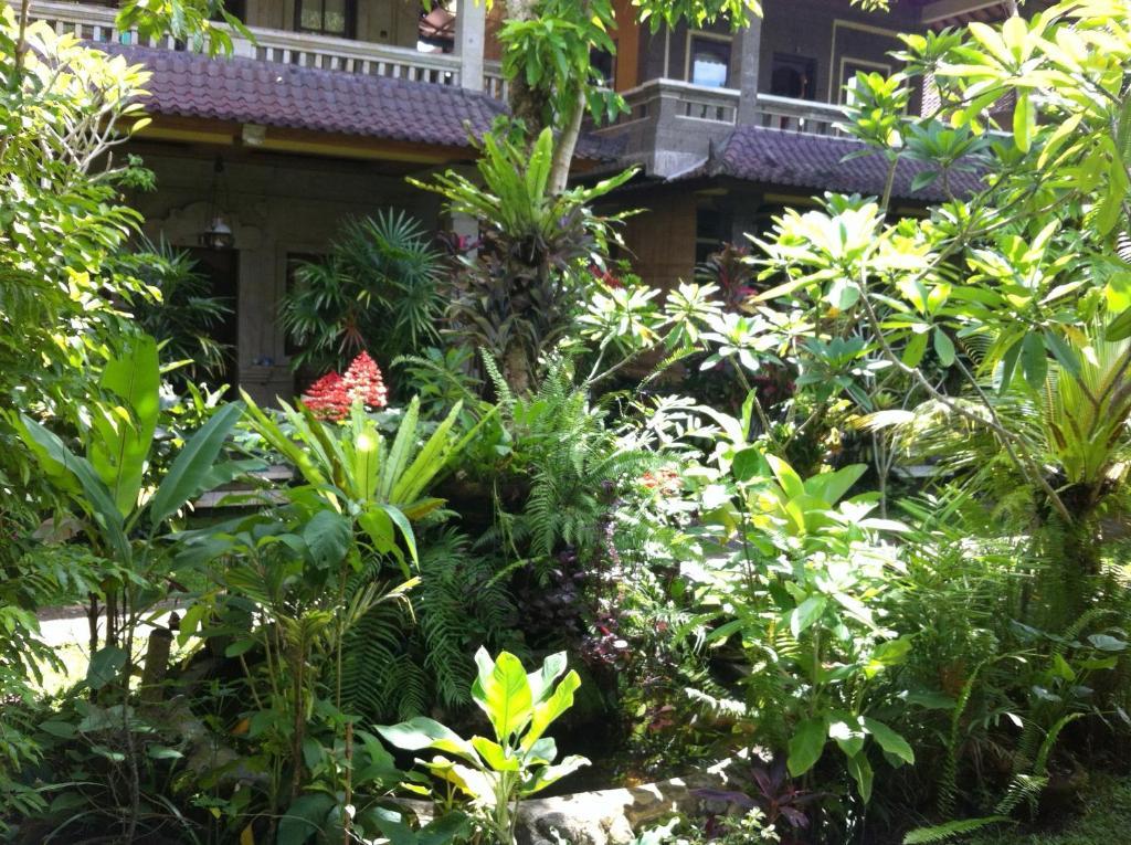 Karang Mesari Ubud Guest House Exterior foto