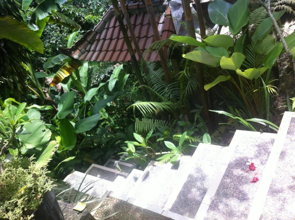 Karang Mesari Ubud Guest House Exterior foto