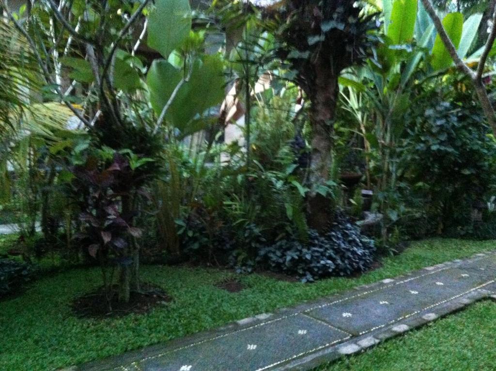 Karang Mesari Ubud Guest House Exterior foto